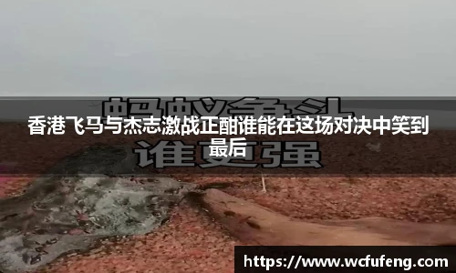 JBO竞博网页版
