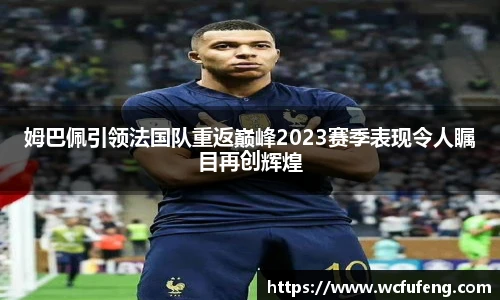 芒果体育官网入口